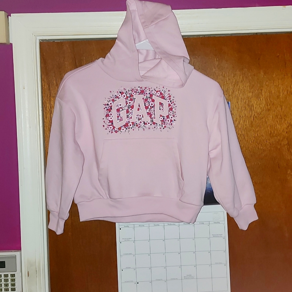AUTHENTIC GAP KIDS, LITTLE GIRL PINK GAP HOODIE.